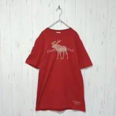 Y241 アバクロンビーアンドフィッチ　Tシャツ　半袖　赤　ヴィンテージ感　Ｌ