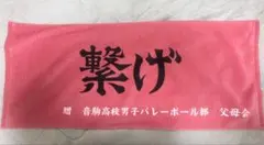 Item thumbnail for item ab38b355-60c6-43bd-b38c-67257cd3b5ff