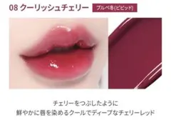 ウェイクメイク デュイジェルグロウティント 08