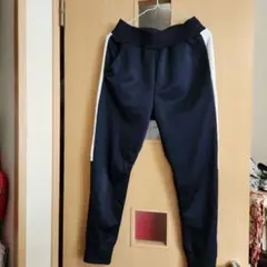 Item thumbnail for item 7b84094a-3a2d-491b-a09f-2eece33c83bf