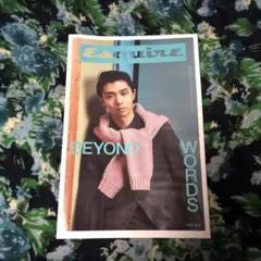 羽生結弦グッチ新聞折込チラシ