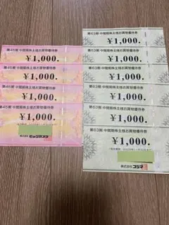 (匿名配送) ビックカメラ&コジマ株主優待券　10000円分