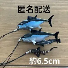 マグロ　コバンザメ　ネコザメ　キーホルダー　ガチャガチャ　ガシャポン　リアル