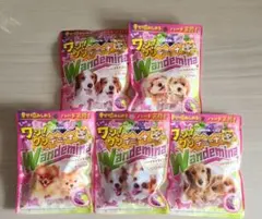 ワン！ワンデミーナ　グミ　全5種類セット　 カンデミーナ　カンロ