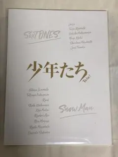 ぴ*こ様 SnowMan SixTONES 「少年たち Tobe」　パンフレット