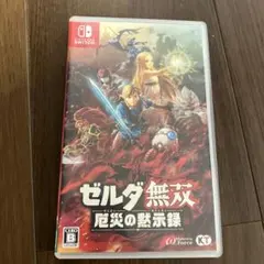 Switch ゼルダ無双 厄災の黙示録