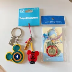 東京ディズニーリゾート キーチェーン ストラップ おまとめ