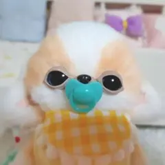 チワボボちゃん　にっこり☺　おしゃぶり付き　アートドール　ぬいぐるみ 2025年最新】チワボボの人気アイテム - メルカリ
