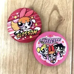 未使用　パワーパフガールズ　刺繍缶バッジ　ブロッサム　集合　2個セット