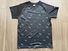 PUMA キッズTシャツ