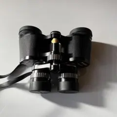 Item thumbnail for item 3a82bcd5-5ef1-421f-869f-6017ecefc11b