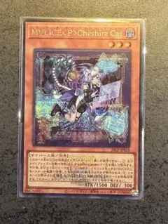 2026年最新】CHESHIRECATの人気アイテム - メルカリ
