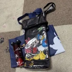 ディズニーベスティーズデザイン レギュラースーベニアポップコーンケースセット