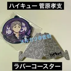 【ハイキュー】菅原孝支　ラバーコースター