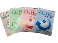 Item thumbnail for item b8a0c954-9b7a-4452-9666-f0a55700b89f