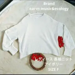 earth music&ecology 長袖ニット SIZE F