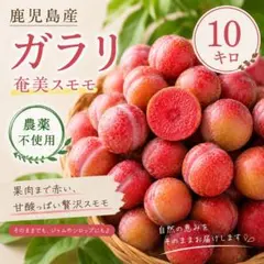 すもも 鹿児島産 無農薬 10キロ - メルカリ