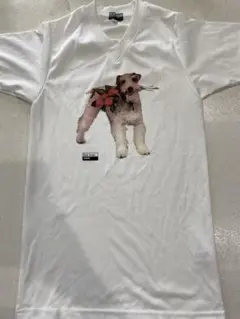 Item thumbnail for item 7efa35e9-69d6-4b2a-9c20-ad5304c6f495