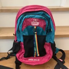 【廃盤レアカラー】CHUMS SPRING DALE 25 バックパック