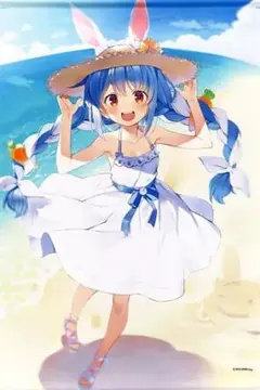 非売品】ホロライブ 兎田ぺこら ボイス付タペストリー