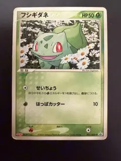 フシギダネ PROMO ADV-Pプロモカード 051/ADV-P