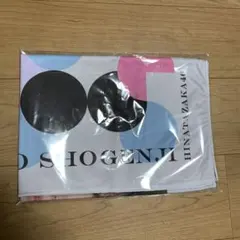 Item thumbnail for item 09c9a290-2548-4fbe-b11f-70466e4a6238