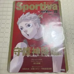 2026年最新】SPORTIVA ハイキュー ビジュアルボードの人気アイテム