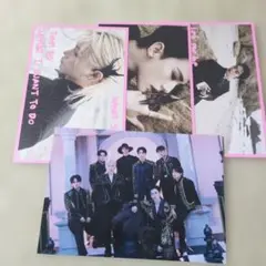 Straykids DO IT 限定盤封入フォトカ+FCホリデーカード