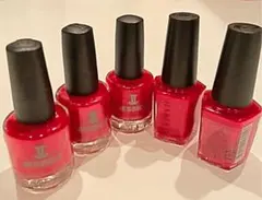 検定応援♡【期間限定お値下げ】赤 シャレドワ・ジェシカ・norio 7本セット