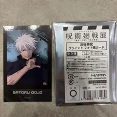 呪術廻戦展 アニメーション　渋谷事変　 ブラインド　フォト風カード 五条悟