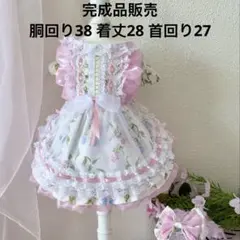 完成品販売犬服 猫服 ハンドメイド ワンピース わんちゃん - メルカリ