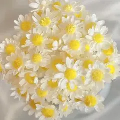 megumegumix様 リクエスト 2点 まとめ商品