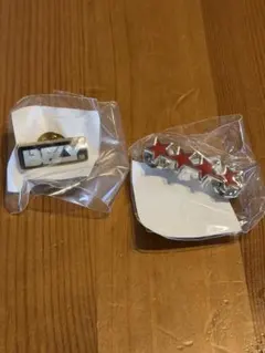 BUMP OF CHICKEN ピンバッジ