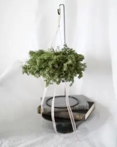 Item thumbnail for item f7a77f08-a2fb-434f-b005-fbc1bba9029c