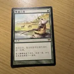 MTG 垣間見る自然 中国語