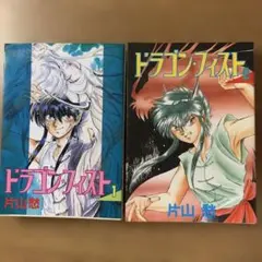 ドラゴン·フィスト 1-4巻 片山愁 新書館 - メルカリ