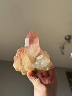 2026年最新】スカーレットテンプルレムリアンの人気アイテム - メルカリ