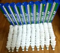 Item thumbnail for item d7f64176-0ebf-406d-bf0b-5fe8062ad4ce