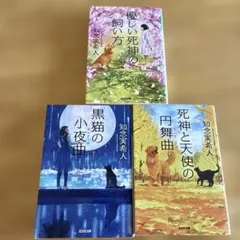 知念実希人 文庫本3冊セット - メルカリ