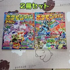 【ポケモンファン】雑誌 本 2013年 まとめ売り