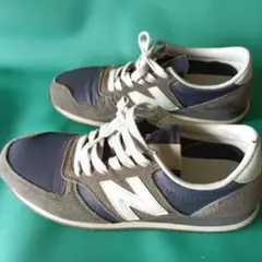 Item thumbnail for item 24f4b25d-e8d5-4749-8bec-49346a18e0c4