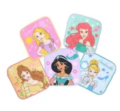 ディズニープリンセス ミニタオル ５枚組 入学入園準備 幼稚園 保育園 洗い替