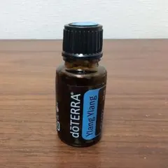 Item thumbnail for item d3ff9b2b-232f-4b38-95a4-a70c4f52489c