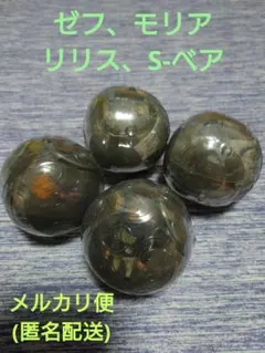 ワンピの実 第二十三海戦 ゼフ、モリア、リリス、S-ベア 4種セット