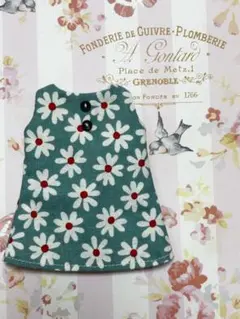 Item thumbnail for item d5a466c6-c2f2-49b1-a93e-de4eb6821f61