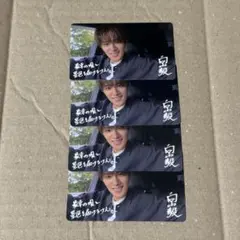 向山毅 タレントカード