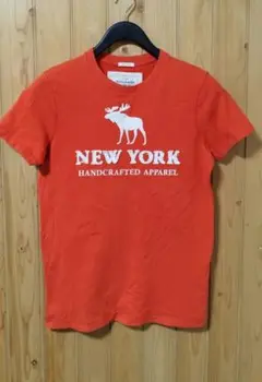 Abercrombie & Fitch メンズTシャツ S