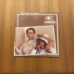 Common 『Day It'll All Make Sense』