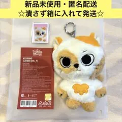 BOYNEXTDOOR BBNEXDO プネクド CATBBI popup