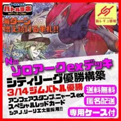 【エラーカード魂抜けセンタリング◎】Nのゾロアークex SAR メガドリームex エラーカード】Nのゾロアークex SAR 魂抜け/ホロずれ【美品】 - メルカリ